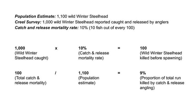 untitled-drawing-(3)