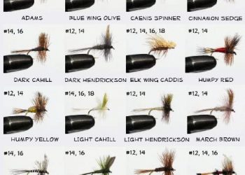 Barnsley 100 Assorted Dry and Nymph Fly Fishing Flies