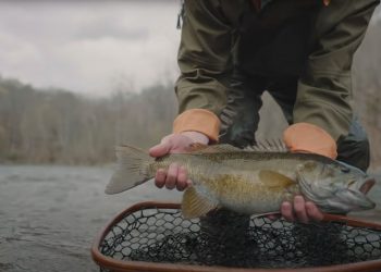 Fly Fishing for Smallmouth