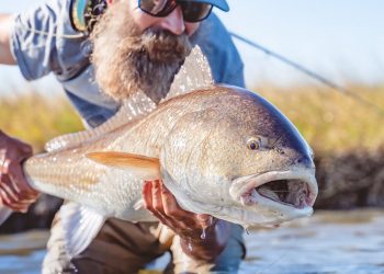 Chasing Bull Redfish on the Fly in the Louisiana Marsh