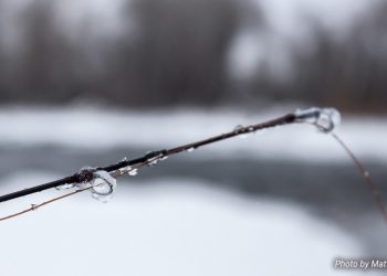 winter fly fishing