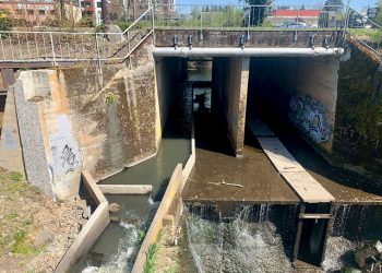 bWFpbi9pbWcvcGFnZXMva2VsbG9nZ2RhbS5qcGVn