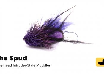 The Spud – Moldy Chum