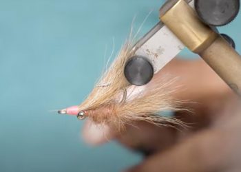 Video: How to Tie the Redfish Gotcha