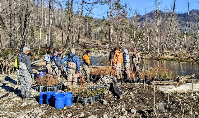 PXL_20220129_180402969~3