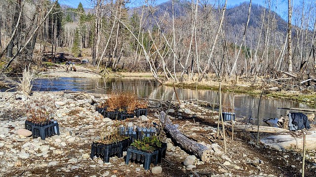 PXL_20220129_201636656~2