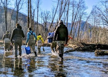 PXL_20220129_180150281~3