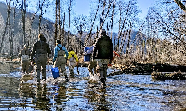 PXL_20220129_180150281~3