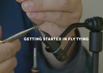 Whip Finish Wednesday: Tying Tips for Beginners