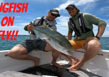 YELLOWTAIL KINGFISH on FLY – Moldy Chum
