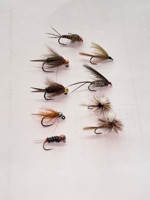 thumbnail 7.16.26 PM