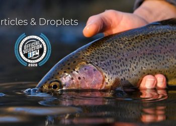 Particles & Droplets (And Giveaway)