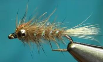Tying Tuesday: Squirrel Nymph