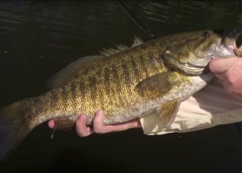 Video: A Plethora of Tips & Tricks from The New Fly Fisher