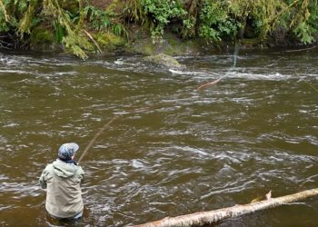 Video Pro Tips: How to Target Steelhead Around Boulders
