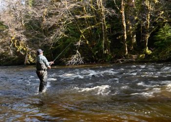 Video Pro Tips: Spey-Casting Around Obstacles – Orvis News
