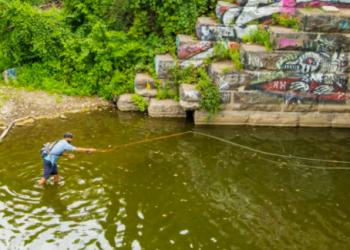 urban fly fishing