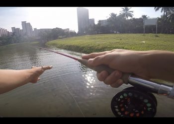Fly Fishing in Singapore, Coho tackle shop, OFO | Facepalmfishing Vlog #5