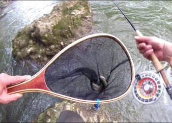 MAXCATCH EURO NYMPHING