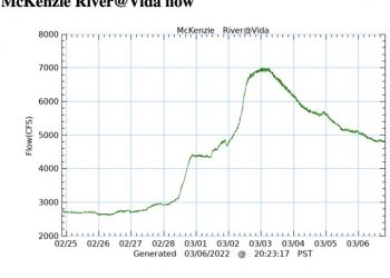 Screen Shot 2022-03-06 at 8.23.31 PM