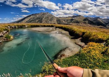New Zealand’s High Country Spring Creeks Are the ultimate Fly Fishing Paradise!