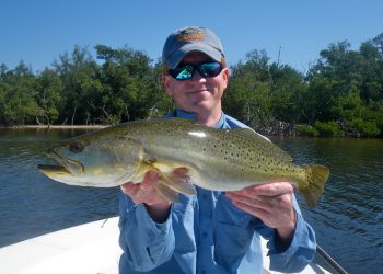 Seasonal Tips for Speckled Trout
