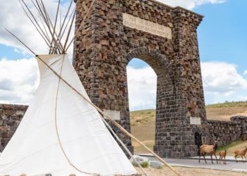 Yellowstone Turns 150 – Moldy Chum