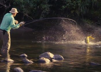 3×3 Gigante Perdido – Moldy Chum