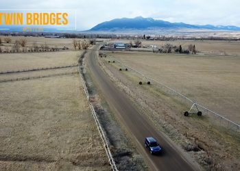 48 Tease Trailer – Moldy Chum