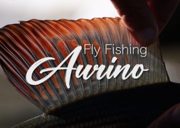 Lavezzinifly – Fly Fishing Aurino