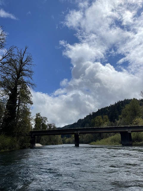 McKenzie River Report Mid April 2022 Fishing Fly Tackle   McKenzie River Report – Mid April 2022 