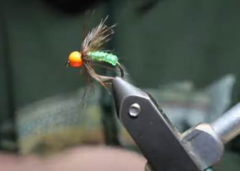 Tying Tuesday: Dirty Water Caddis
