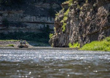 Wednesday Wake-Up Call 04.13.22￼ – Orvis News