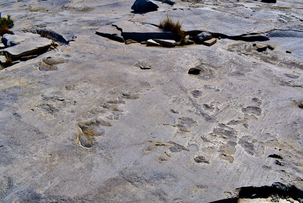 Screen Shot 2022-04-26 at 9.46.54 AM