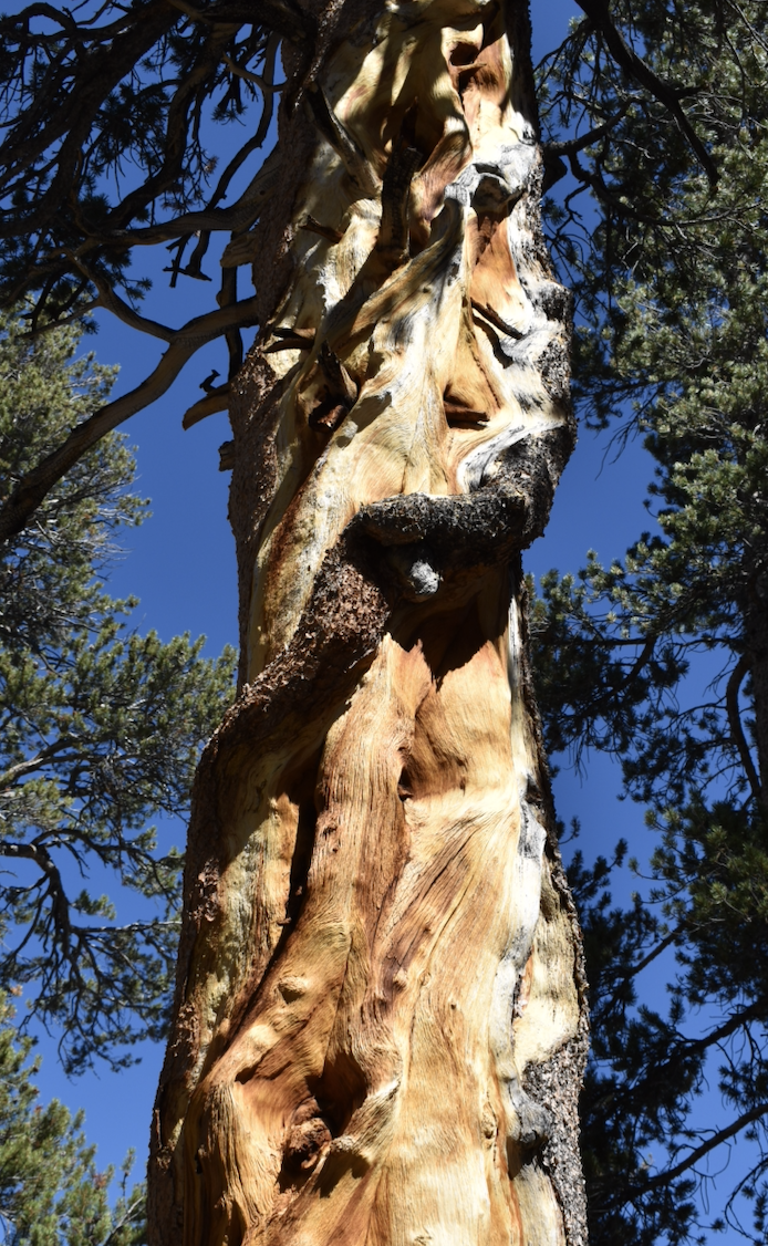 Screen Shot 2022-04-26 at 9.58.29 AM