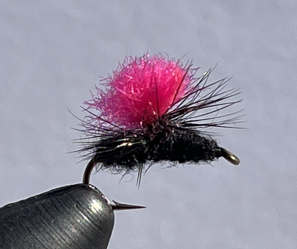 Screen Shot 2022-04-26 at 10.42.57 AM