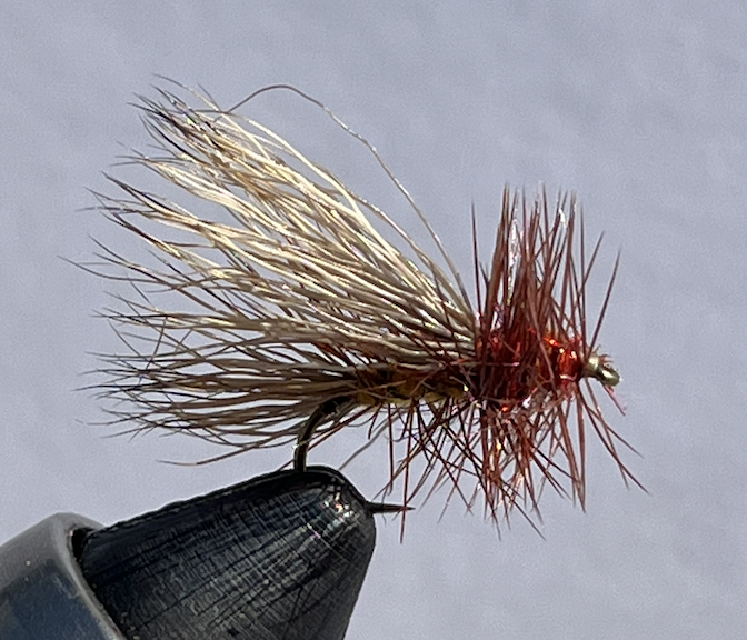 Screen Shot 2022-04-26 at 10.51.03 AM