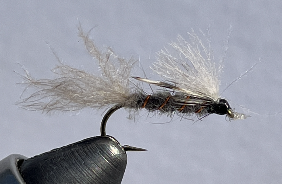 Screen Shot 2022-04-26 at 10.53.47 AM