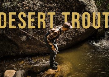 Finding Trout In The Utah Desert | CHANNEL UPDATE