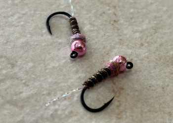 Screen Shot 2022-04-26 at 2.42.28 PM