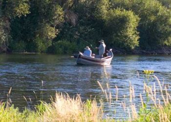 Montana Fly Fishing