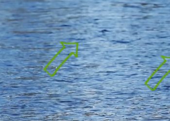 Master Class Monday: How to Spot Rising Trout