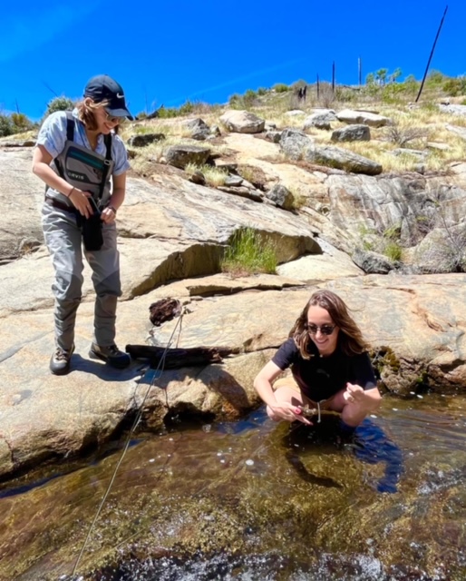 FD42036E-0309-453E-A3B3-EA2E181EB30C