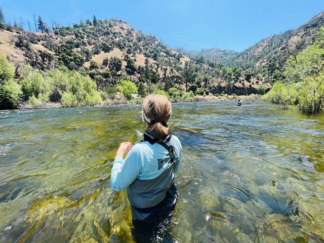 68F0CE32-F9F3-4CB2-A78A-C76E448062C8