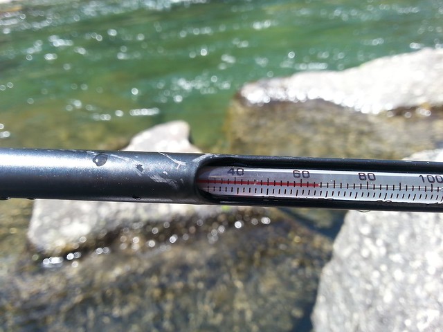 RussRicketts_RiverSnorkeling