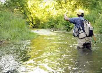 Fly Fishing Climate Wisconsin