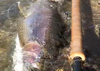 First Swing Of The Winter Season