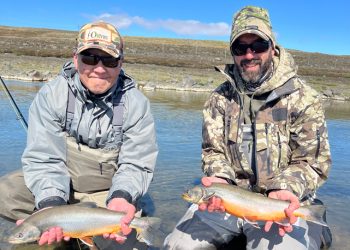 Iceland, Day Three: Here Comes the Sun . . . and the Fish