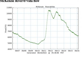 Screen Shot 2022-06-16 at 5.38.59 AM