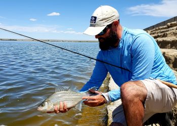 Pro Tips: How to Catch Wipers in Spring